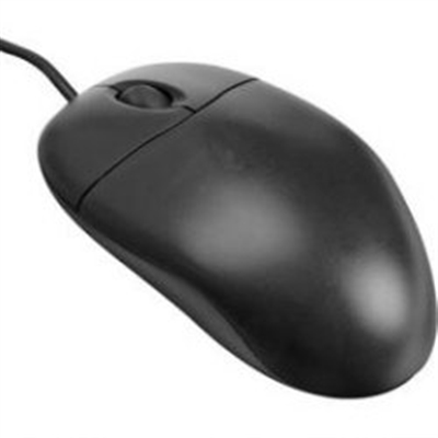 Everfocus-ECORMOUSE.jpg