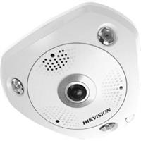 Hikvision-USA-FE6362.jpg