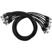 NVT-Network-Video-Technologies-NVBNC8.jpg